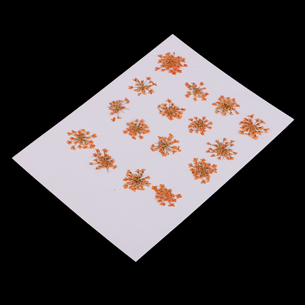 Прессованный высушенный цветок из плоти DIY Художественный Декор Ремесло чехол