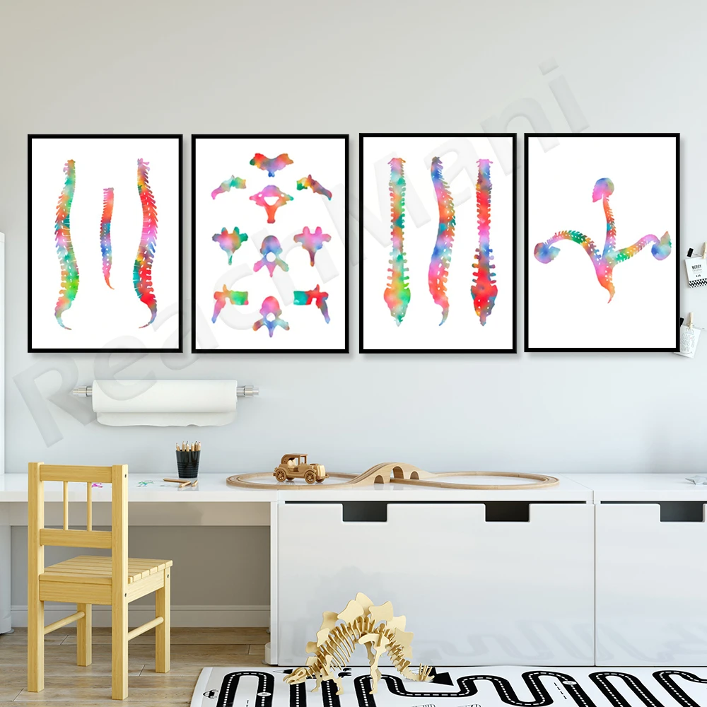 

Spine watercolor printing vertebrae anatomy art medical poster chiropractic clinic wall decoration plastic surgeon gift