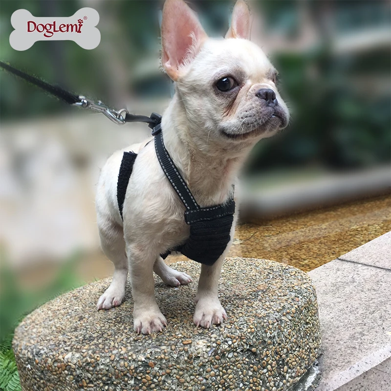 Не вытягивающий поводок для собак не сетчатый домашних животных|Наборы| |