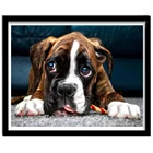 Алмазная 5d картина сделай сам, Набор для вышивки квадратными и круглыми стразами, с рисунком боксера, собаки, настенные наклейки