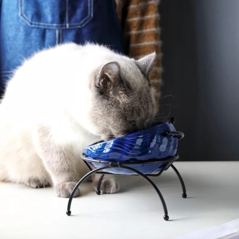 Красивая пиала для кошек и собак защиты керамика позвонка 15 градусов Диаметр