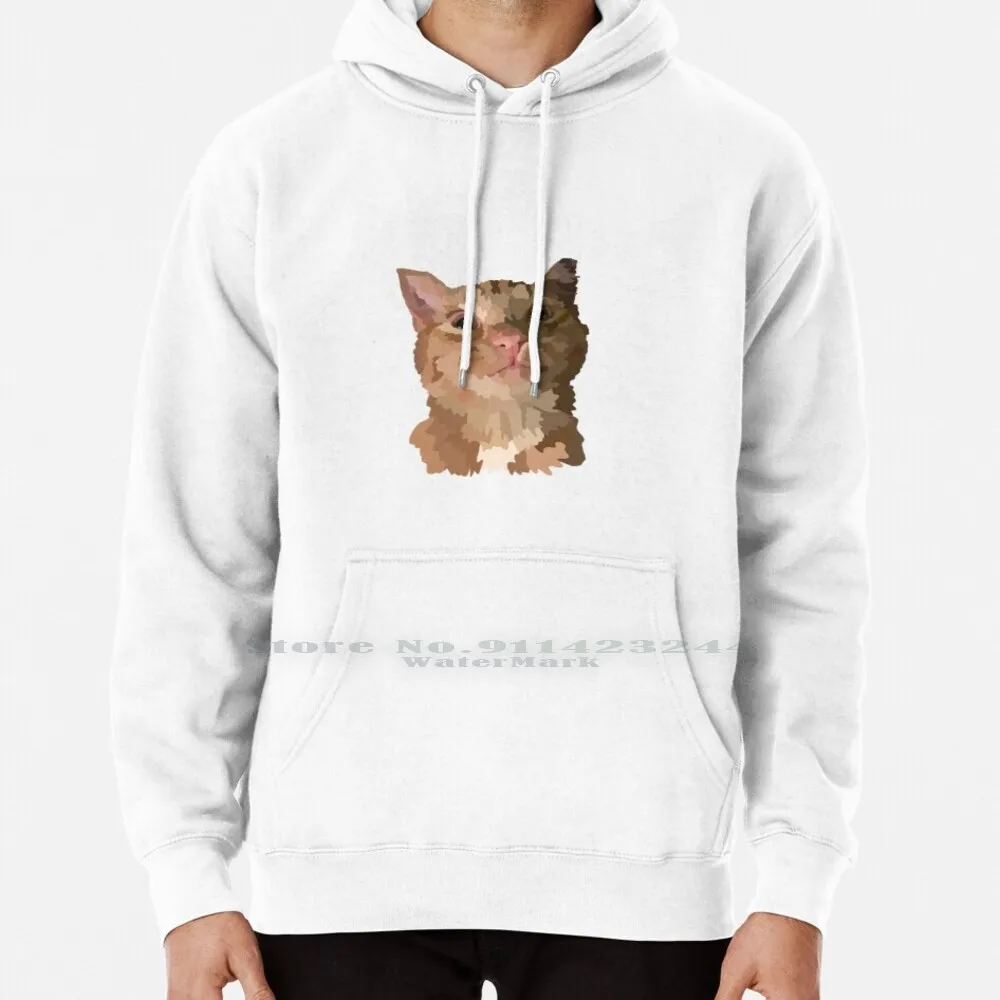 

Quavo Hoodie Sweater 6xl Cotton Tabby Kitten Orange Cat Brown Cat Kitty Pur Women Teenage Big Size Pullover Sweater 4xl 5xl 6xl