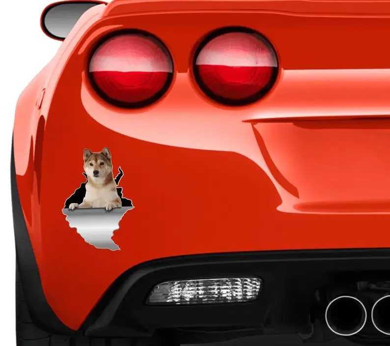 

Car sticker Shiba Inu sticker Dog sticker Pet car sticker Pretty pet sticker Animals sticker Dog sticker Dog decal Water