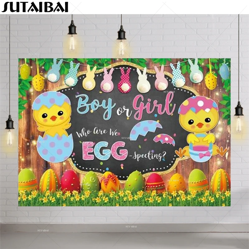 

Gender Reveal Easter Backdrop He or She Chick Eggs Bunny Spring Baby Shower Wooden Newborn Birthday Party Decor Photobooth