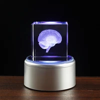 crystal 3d human anatomical brain model laser engraving brain figurines medical science graduation gift home decoration