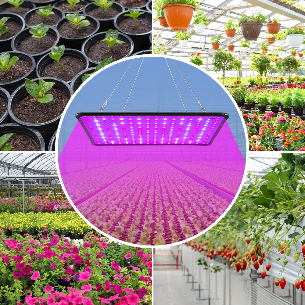 

220V Plant Lights Full Spectrum LED Growth Lamp Indoor Greenhouse Grow Tent 2000W Quantum Board Phyto Lamps 2835 Chip Fitolamp