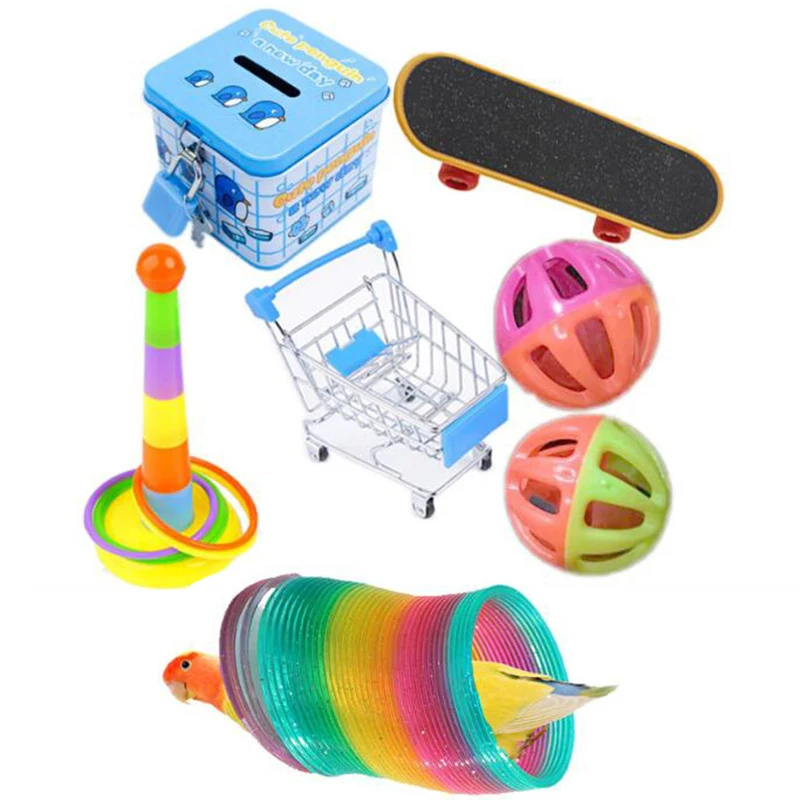 

Training Toy Set Interactive Parrot Appliance Set Funny Bird Activity Toy Set