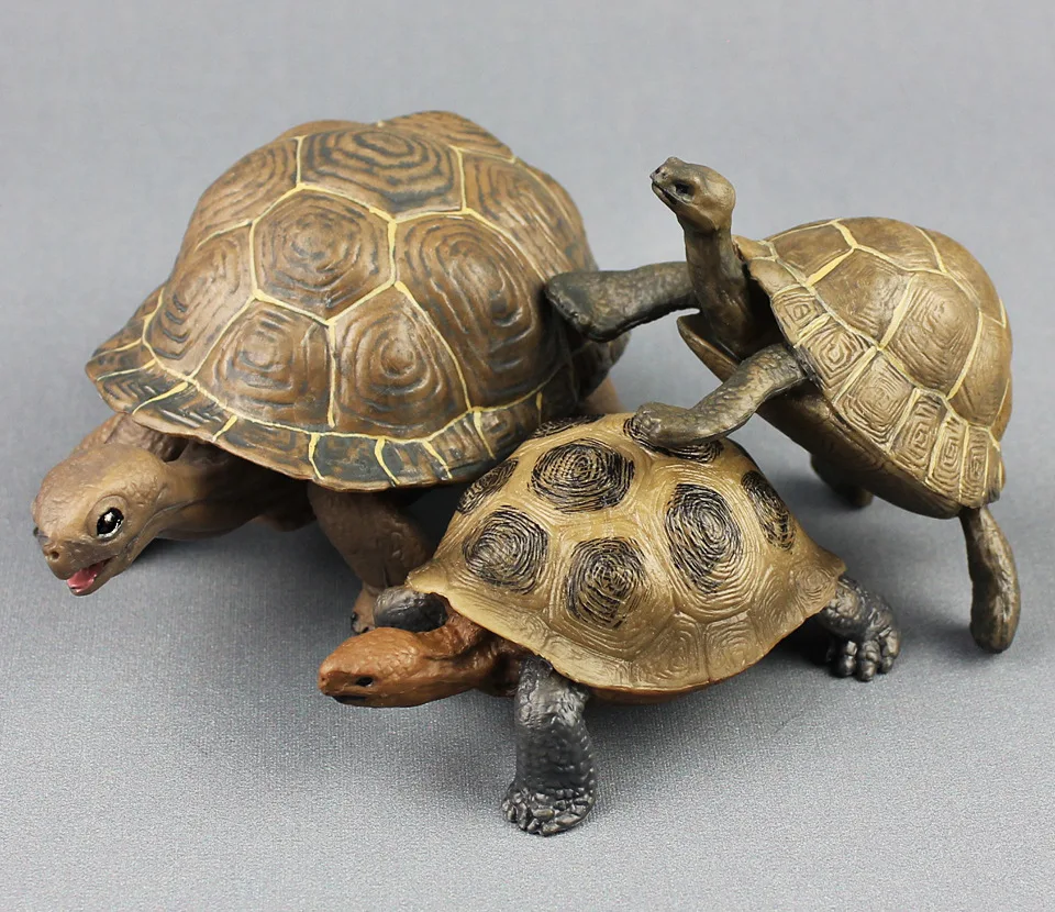 

3 pieces a set small real life tortoise models plastic tortoise dolls gift about 7.8-12.7cm xf3014