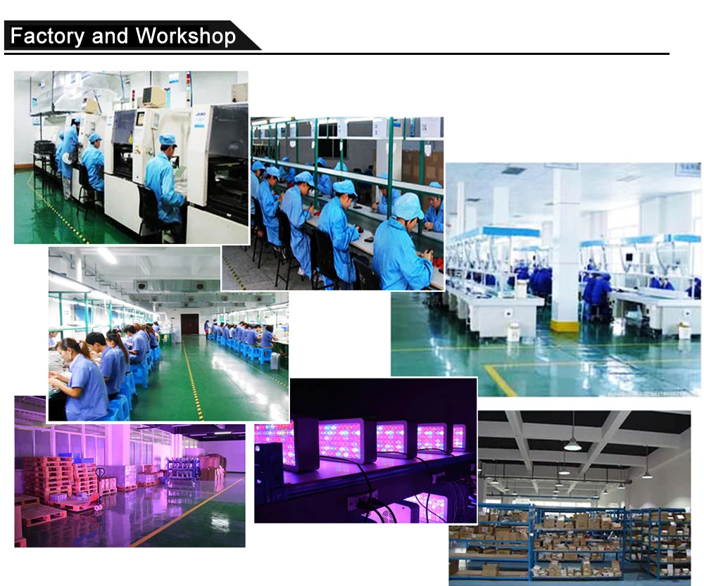120 Вт 240 Вт samsung LM301B светодиодный светильник для выращивания квантовой доски 3000 К 3500 К полный спектр драйвер Meanwell для комнатных палаток растений