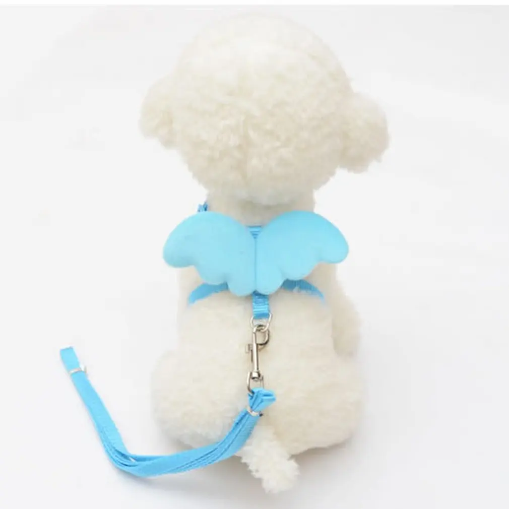 Милый ангел поводки для питомцев собак и набор воротников Маленькие кошки щенков