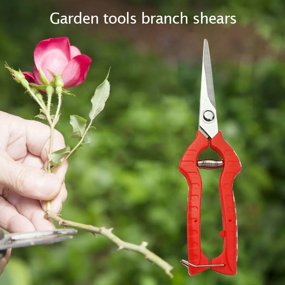 

Household Potted Branch Trimmer Weed Gardening Tool Fruit Picking Scissors Trim Household Garden Planting Elements