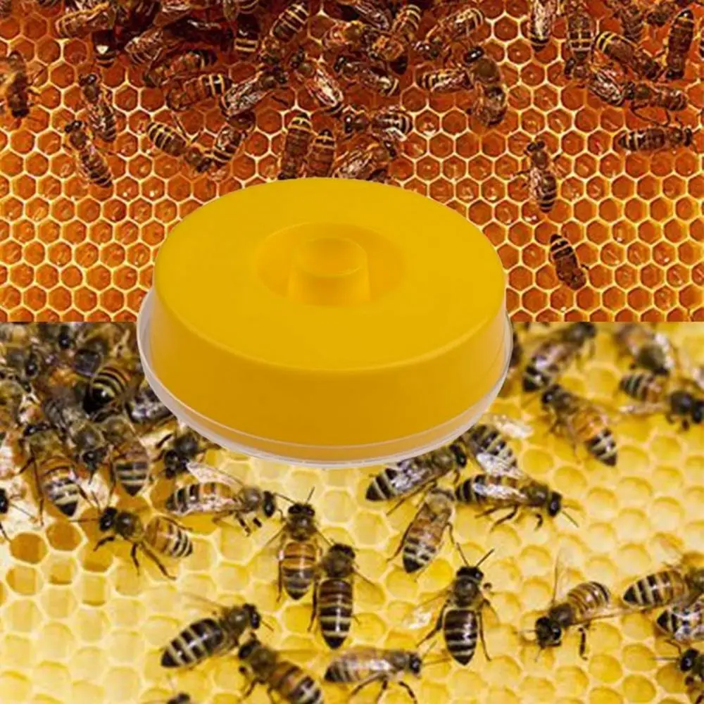 Пластик подающий диск Круглый топ Фидер в виде пчелиных сот с ринва питания