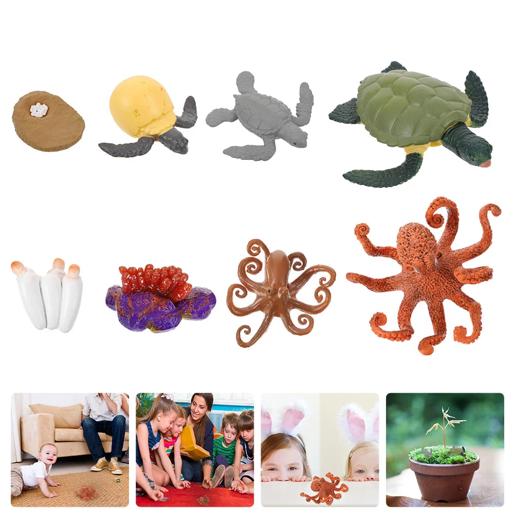 

2 комплекта, Детские модели черепахи и осьминога