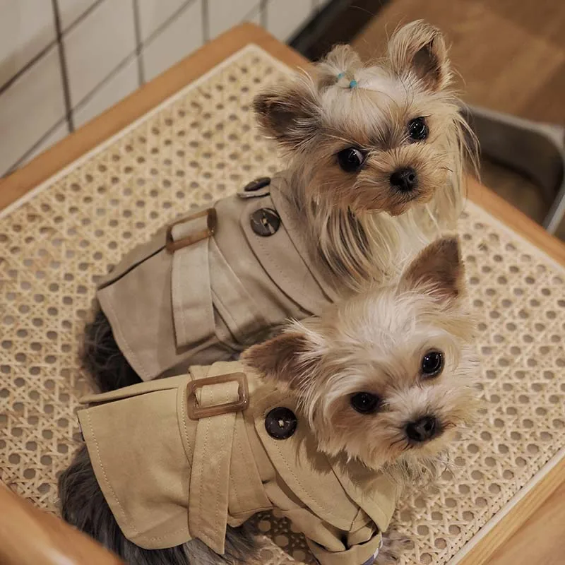 Осенне-зимняя искусственная ветровка милая Тедди Чихуахуа рабочая одежда теплая