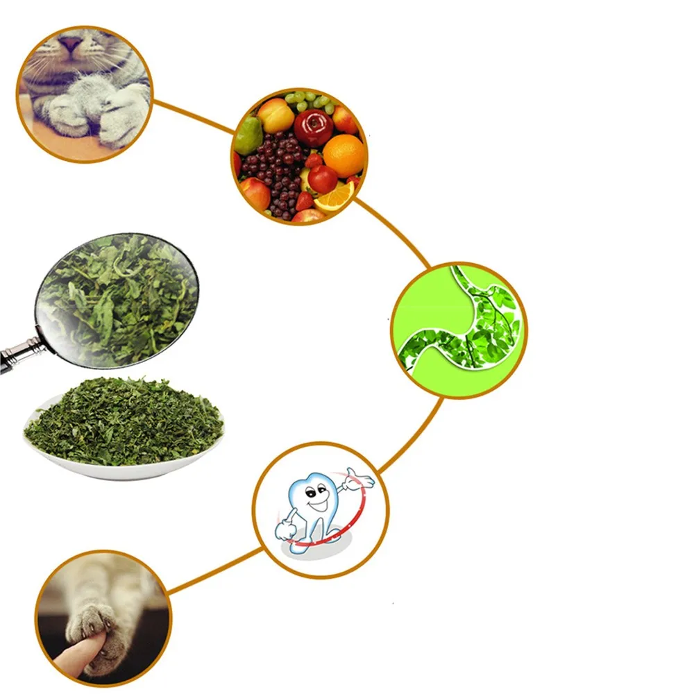 Натуральная кошачья мята премиум класса натуральная Органическая трава для