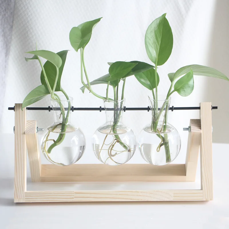 

Glass and Wood Vase Planter Terrarium Table Desktop Hydroponics Plant Bonsai Flower Pot Hanging Pots with Wooden Tray Home Deco