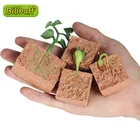 Новые Модели моделирования процесса роста растений, семена твердой сои, цикл роста, раннее образование, детская научная образовательная игрушка, подарок