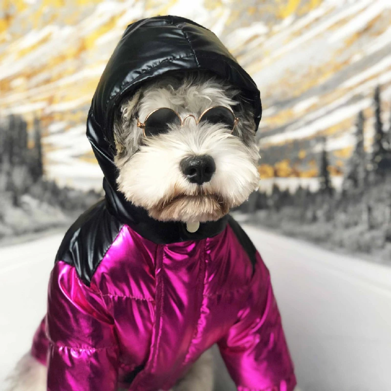 

Winter Velvet Dog Clothes for Small Medium Dogs French Bulldog Thick Down Jacket Pug Costume S-2XL Dropshipping A89