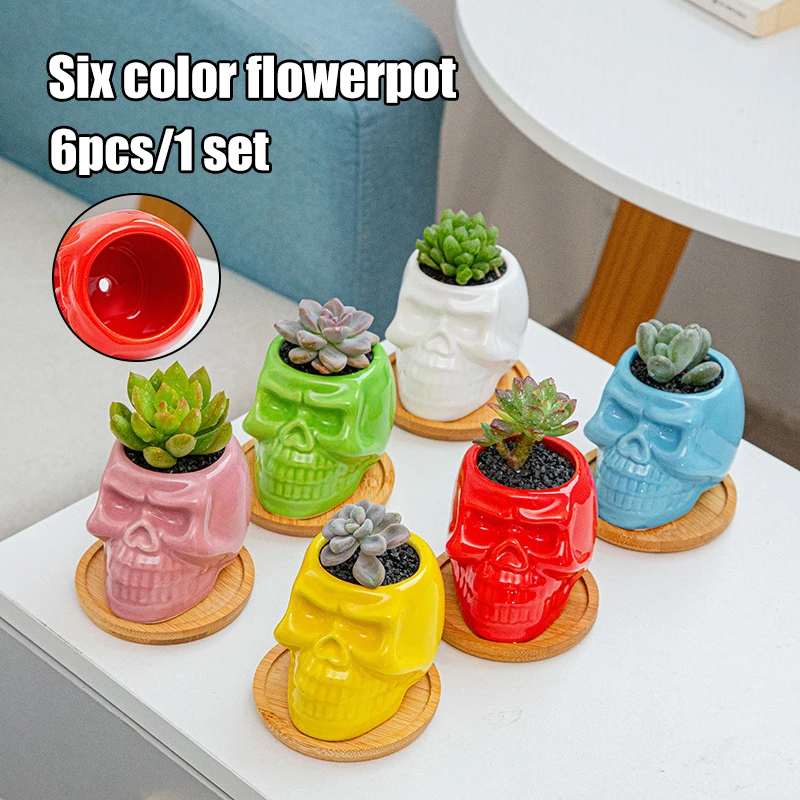 

Цветочный горшок с черепом, керамический горшок для суккулентов, дышащий, не подвергается деформации, 6 цветов, для стола, для садоводства, ...