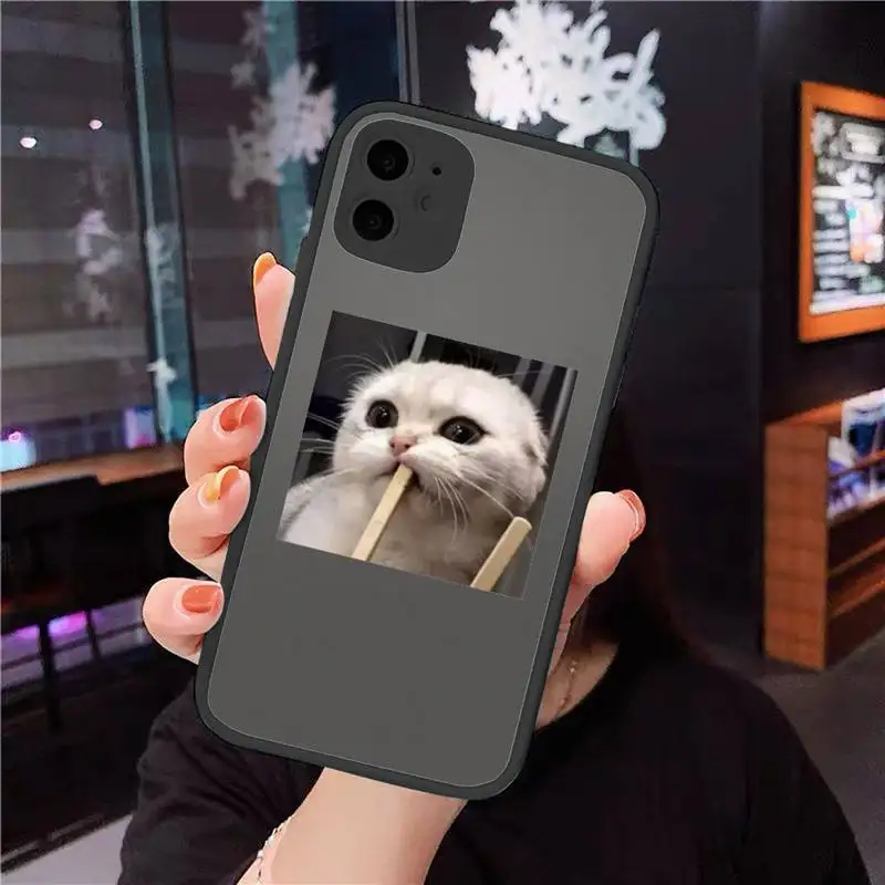 

Cute Cat Phone Cases matte transparent For iphone 7 8 11 12 plus mini x xs xr pro max cover