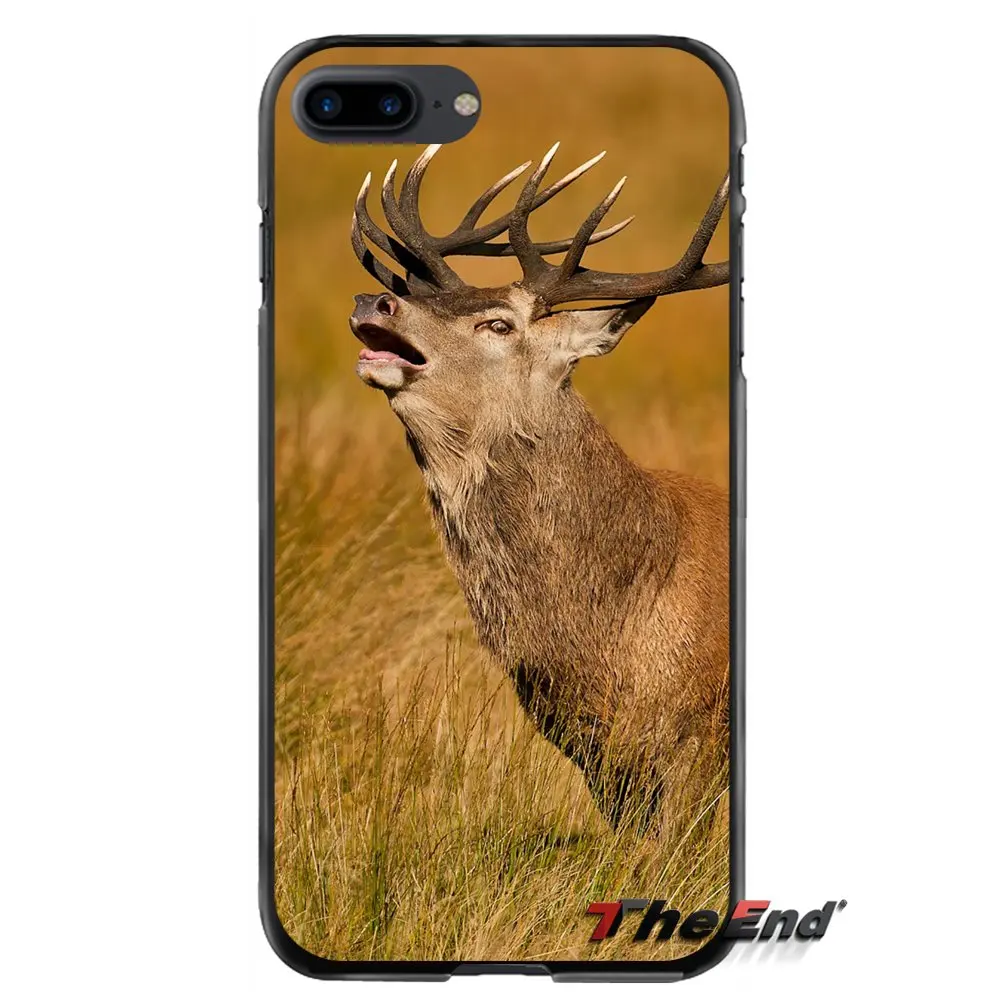 Для Apple iPhone 4 4S 5 5S 5C SE 6 6S 7 8 Plus X iPod Touch аксессуары чехол для телефона олень