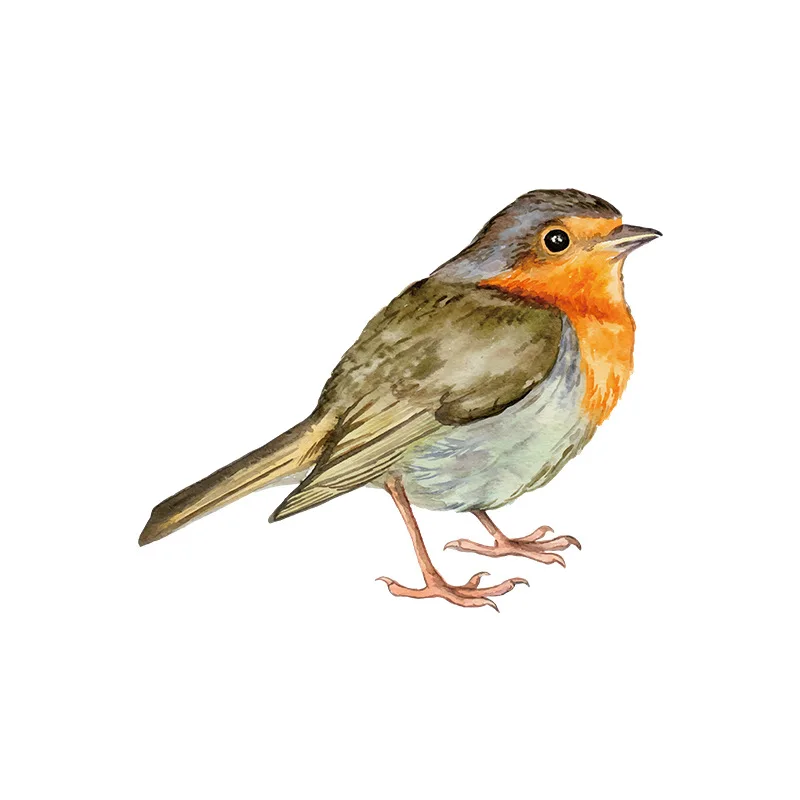 Настенные наклейки с птицами ручной росписи для гостиной спальни на стену из ПВХ