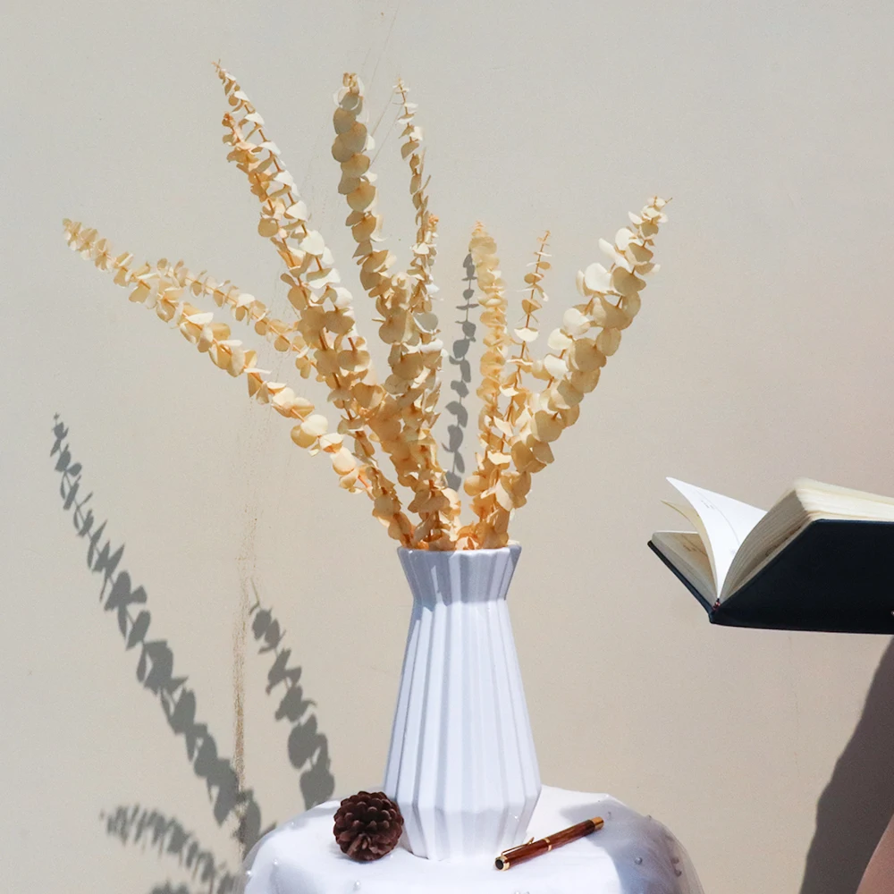 Фотообои для свадебного украшения вечные растения листья эвкалипта монет вечный