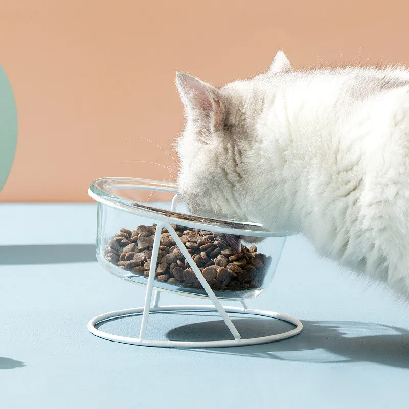 Горячая Распродажа стеклянная кормушка для собак средство кормления высокой