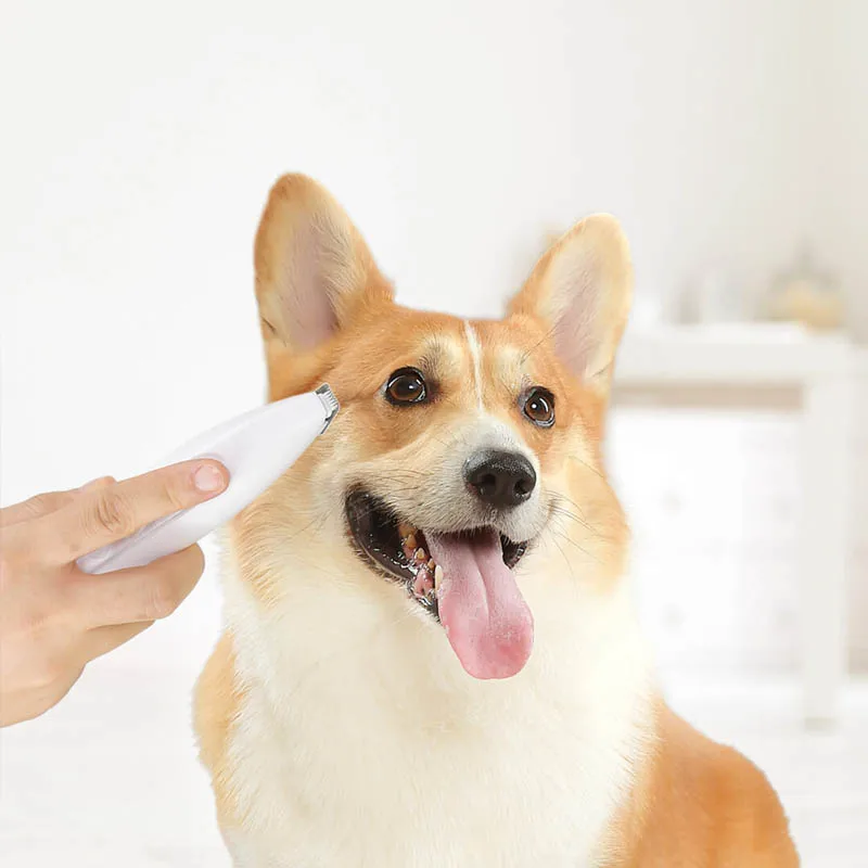 Xiaomi Pawbby Pet местный бритва предохранительный резак головы низкий уровень шума нет волос собака волос точный Триммер Уход за шерстью домашних животных