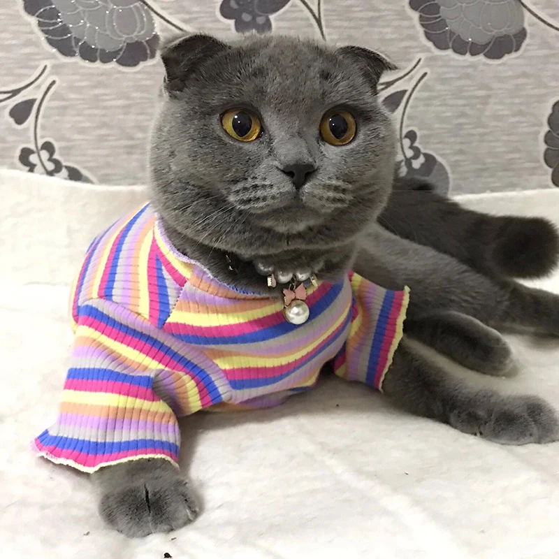 

Красочный Жилет для кошек, рубашка для маленьких кошек, Одежда для питомцев, Хлопковая полосатая одежда для щенков и собак, одежда для кошек,...