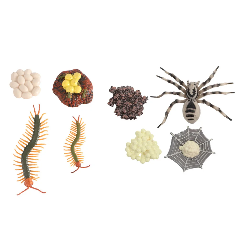 

2 Sets Food Chain Animal Figurines Life Cycle Models of Tarantula and Centipede