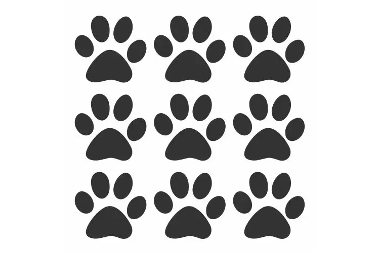 Кошачья лапка марка автомобиля росписи уникальные воспоминания автомобильные