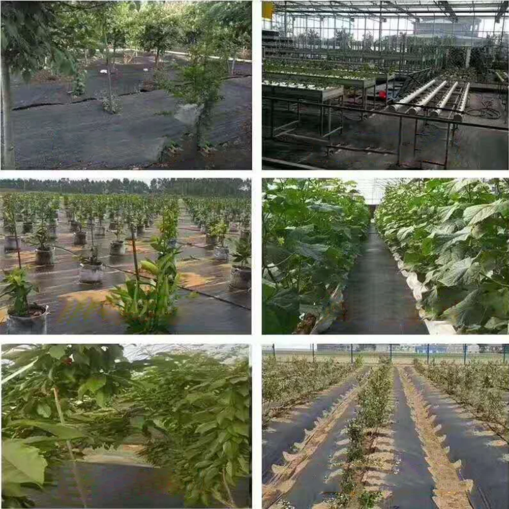 

Solid Anti Grass Agriculture Permeable Weed Control Fabric PE Ground Cover Greenhouse Outdoor Garden Easy Install Sunscreen