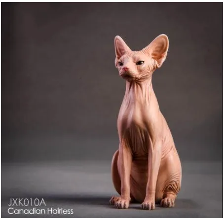 A 1/6 модель животного из смолы Jxk010 1/6 канадская безволосая кошка Сфинкс 3 цвета животное F 1" фигурка солдата - Цвет: A