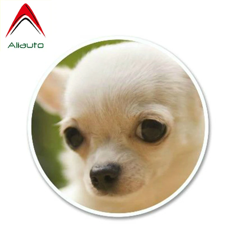 Aliauto милая фотография забавная Красивая виниловая наклейка с собакой Чихуахуа