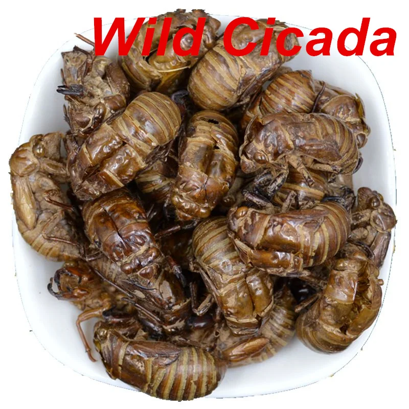 Дикая Цикада Slough Chan Tui подходит для глаз снятия боли в горле| |
