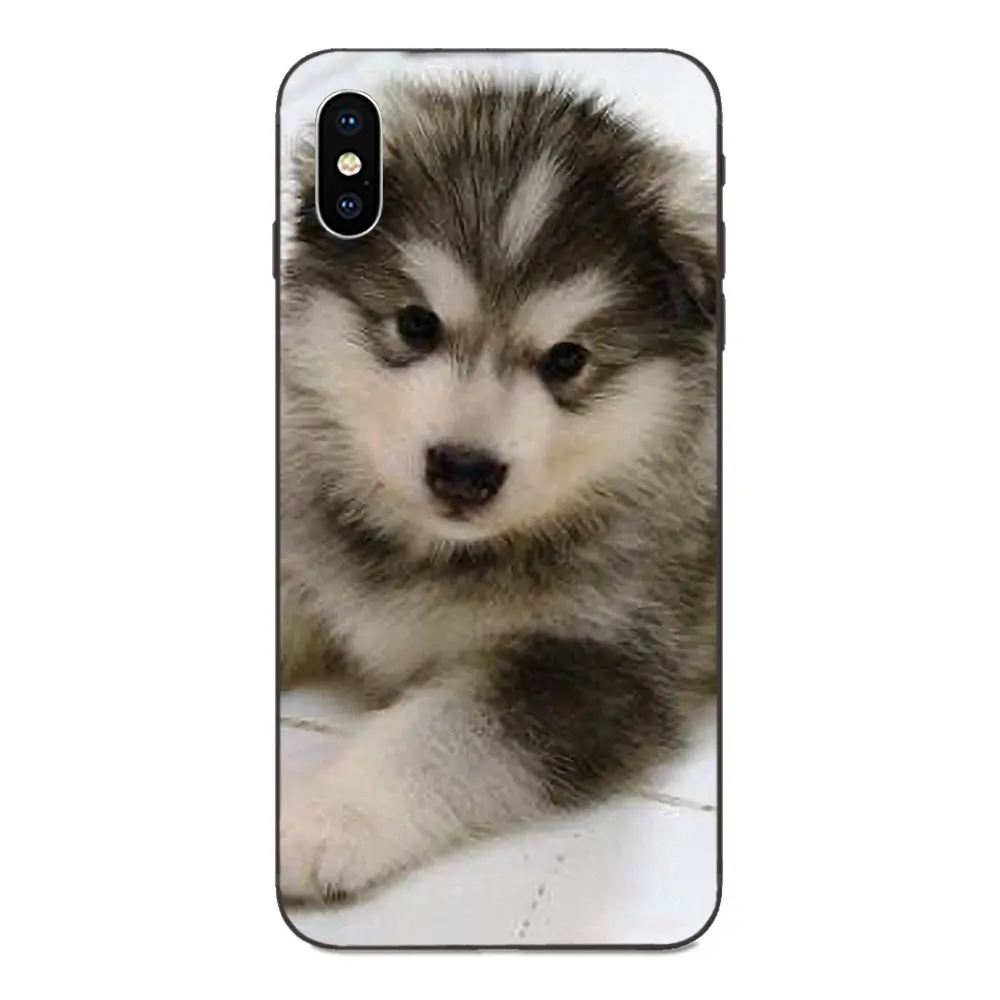 as picture Мягкий чехол для Huawei Honor 5A 6A 6C 7A 7C 7X 8A 8C 8X9 10 P8 P9 P10 P20 P30 Мини Lite Plus самоед милая собака - Цвет: as picture