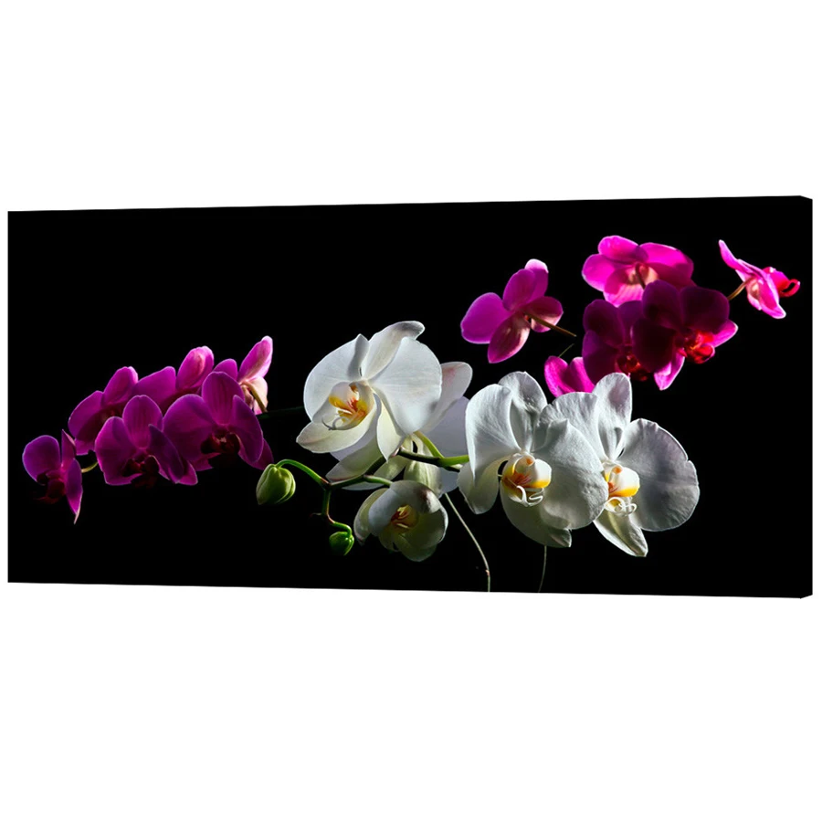Черные фиолетовые белые орхидеи крупного размера для творчества с бриллиантами (5D) полного квадратного и круглого сверления для декорирования стены (I72).
