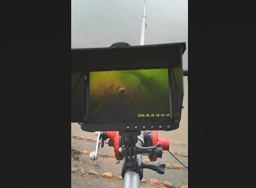 Купить Камера-эндоскоп с кабелем 100 м, объектив 160 градусов, AHD/CVI/TVI