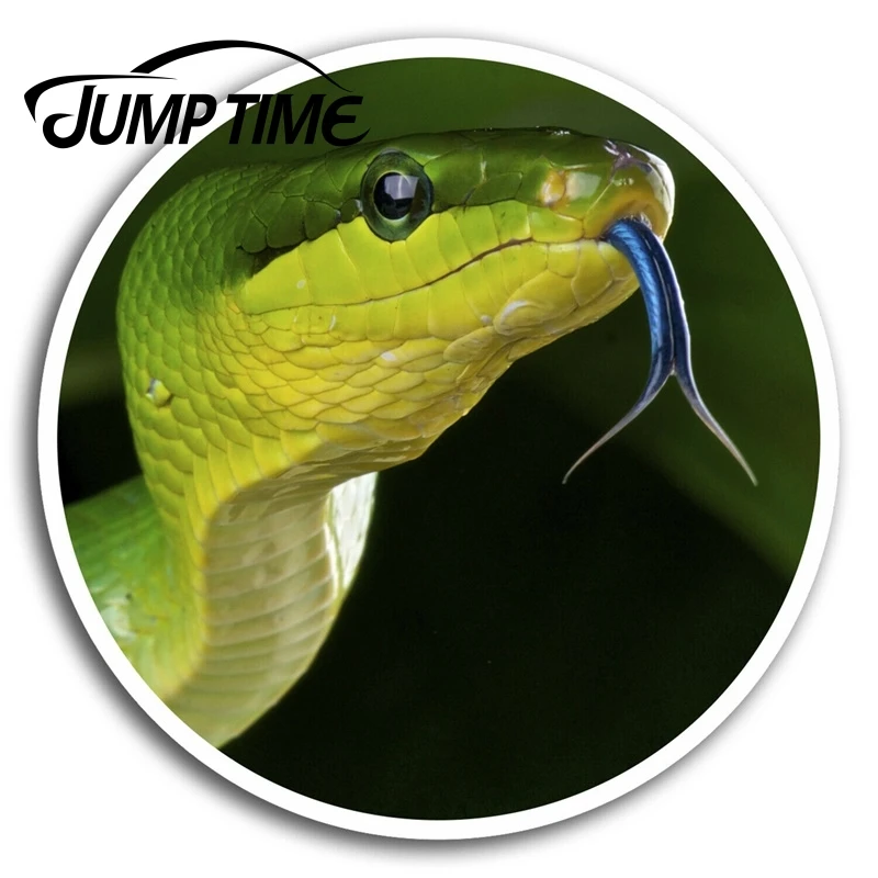 Зеленая змея Виниловая наклейка с s змеями крутая для ноутбука багажа автомобиля