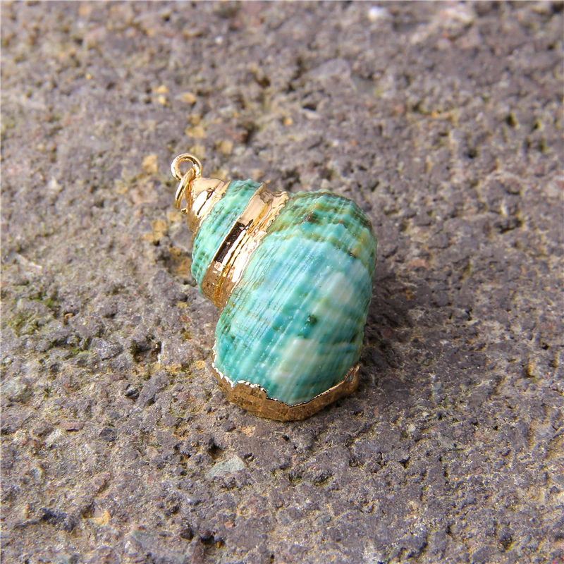 5 шт. случайные ювелирные изделия из ракушек натуральный зеленый раковины кулон с