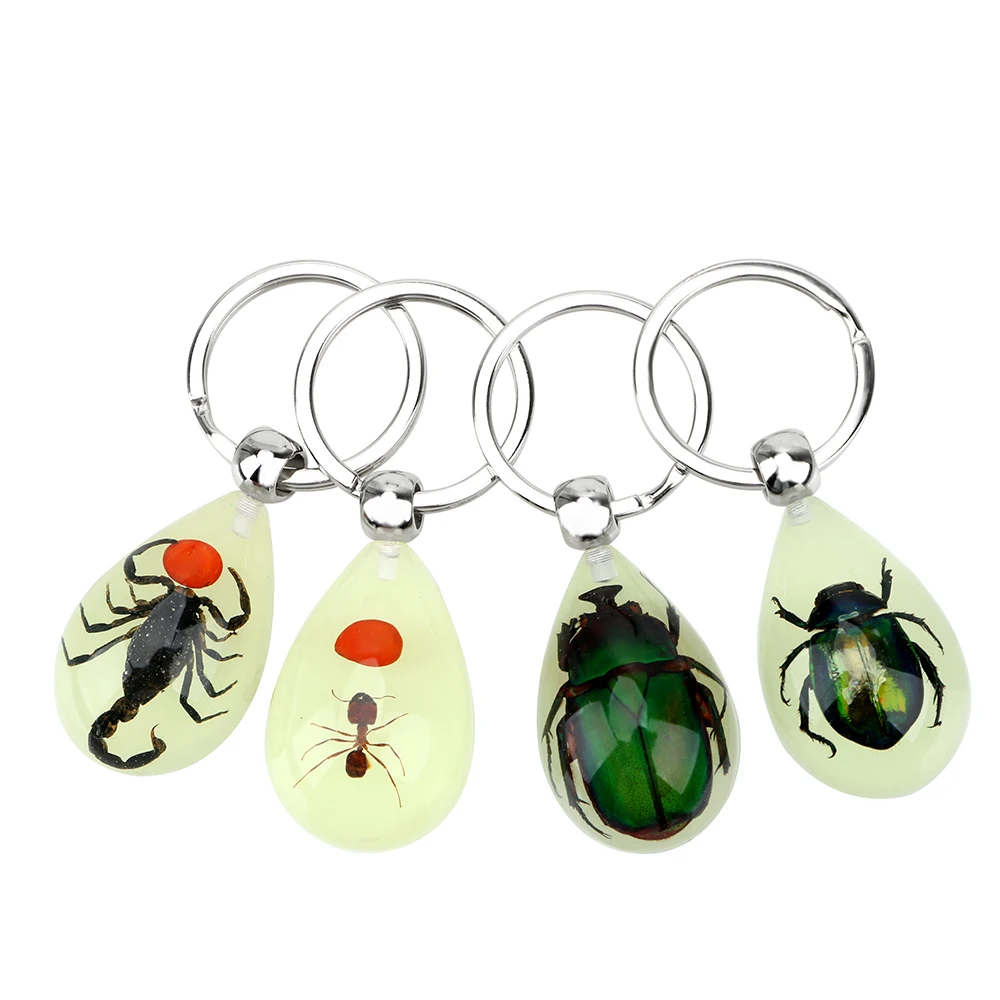 

Artificial Amber Insect Car Keyring Car-styling Luminous Creative Scorpion Keychain Scorpion Ant Amber Key Chains