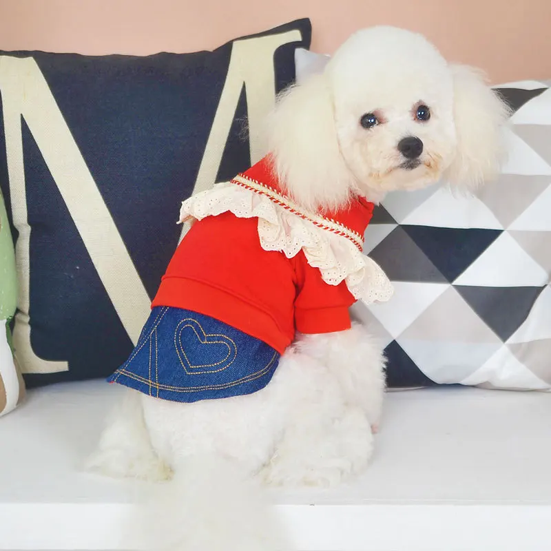Одежда для собак на осень и зиму 2019 ажурная кружевная дизайнерская джинсовая