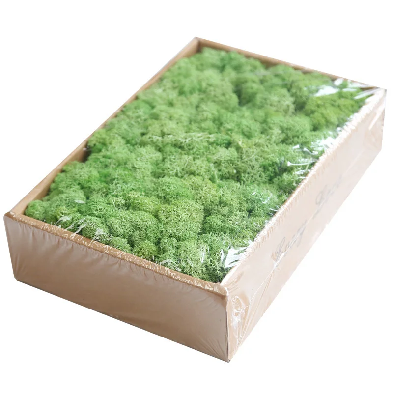 Light Green Искусственное растение вечная жизнь 200 г мох сад украшение дома стены DIY цветок материал Мини Сад Микро Ландшафтные аксессуары - Цвет: Light Green