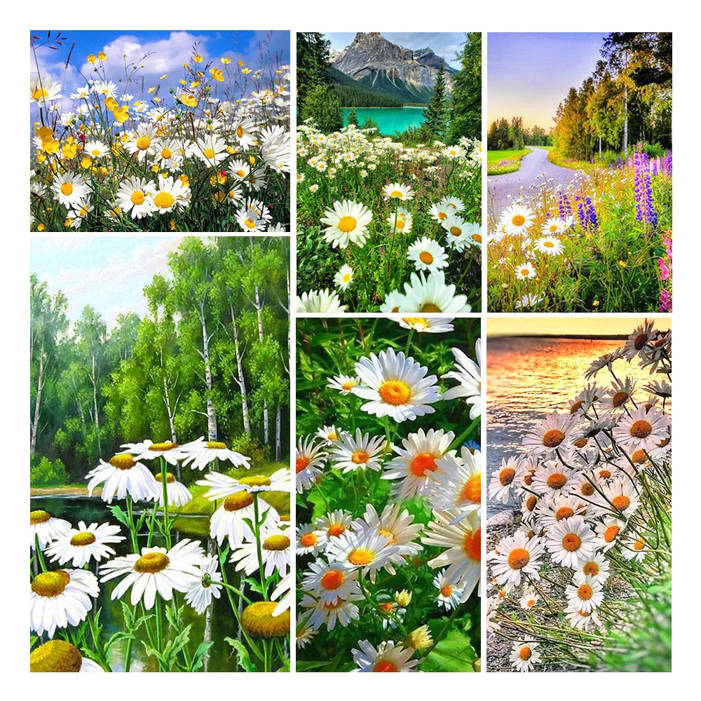 

5D Diy Diamond Art Flower Dimond Painting Kit Full Round Drill Diamond Embroidery Mosaic Cross Stitch Home Decoration Artcraft