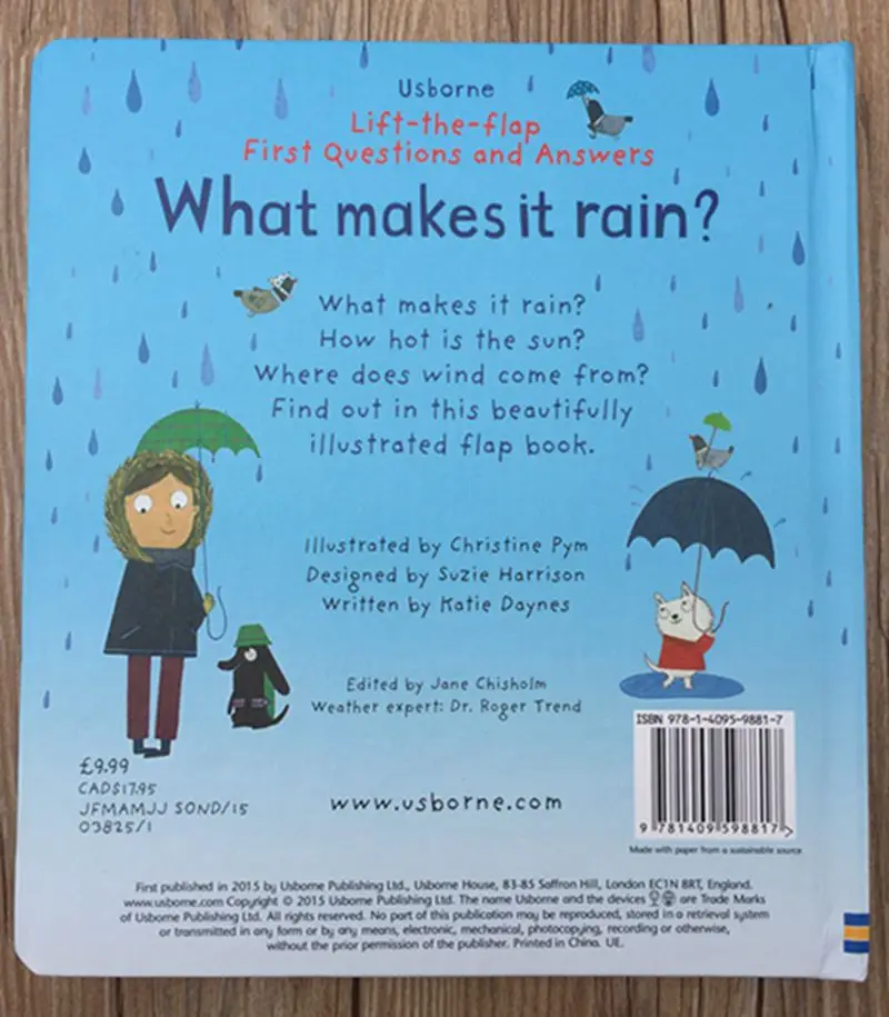 Usborne Lift-the-flap первые вопросы и ответы что делает это дождь английский обучающие