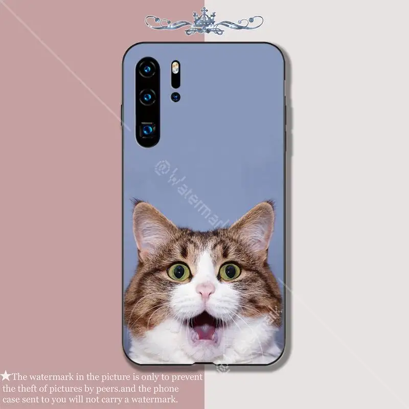 Забавный выражение кошка Роскошный чехол для мобильного телефона Huawei P 20 30 40 Lite Pro