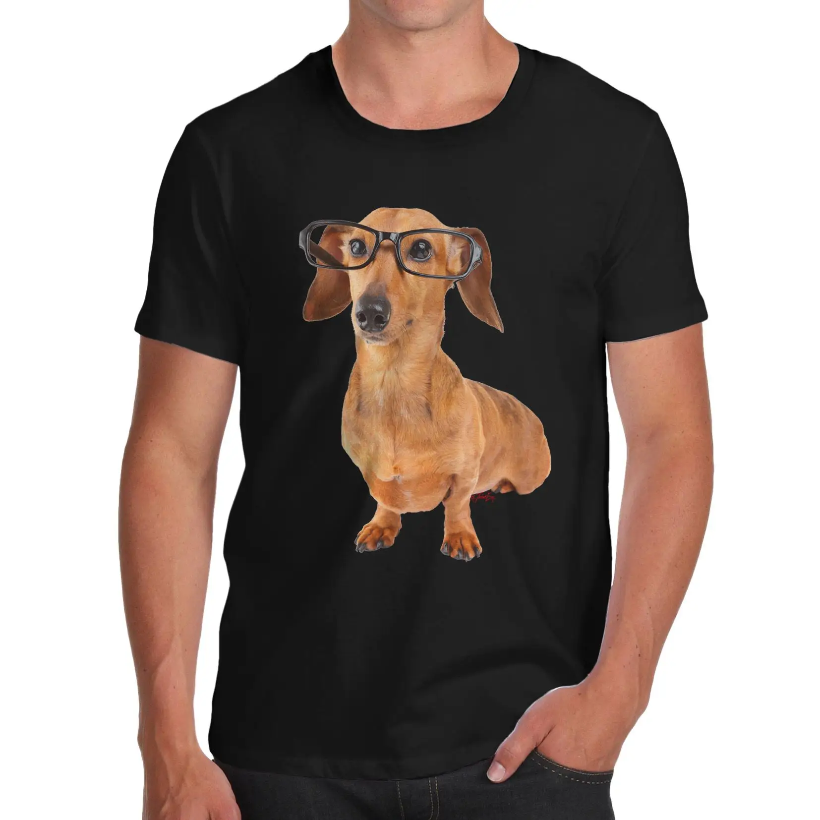

Brand Printed 100% Cotton T Shirt New Style Doxie Dachshund Hipster Dog Organic Cotton Crew Neck Short-Sleeve Mens Tee Shirt