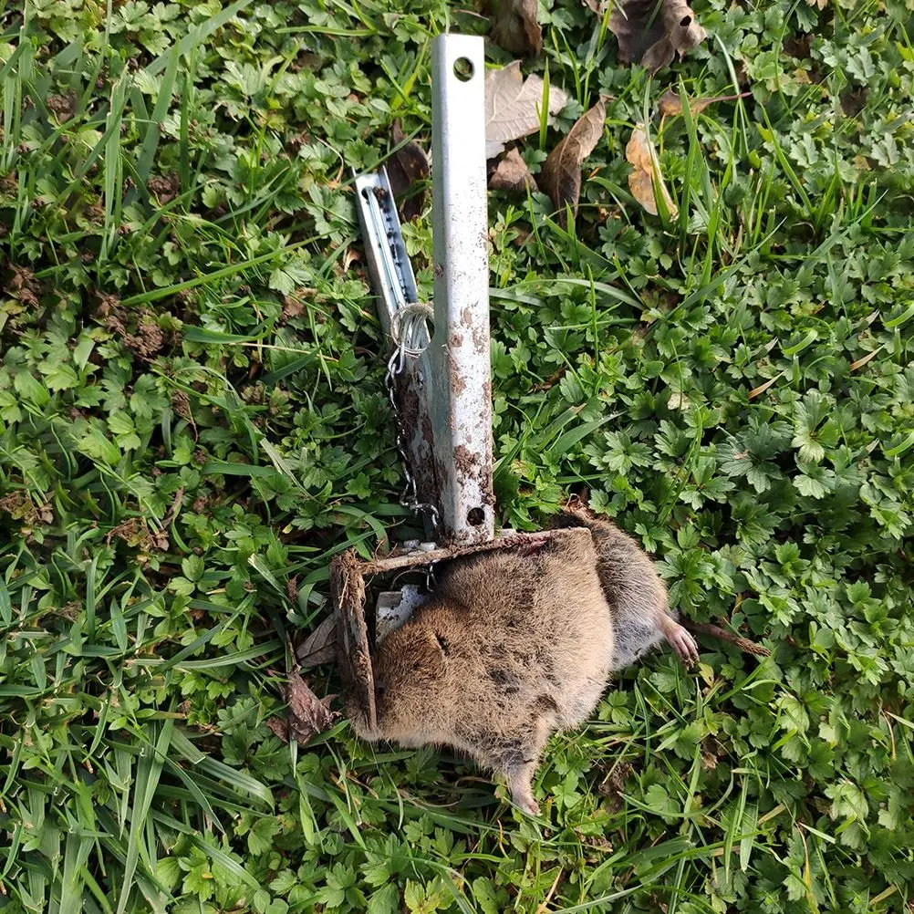 2PCS Multifunction Galvanised Mole Trap Control Heavy Duty Claw Scissor Traps Rat Repellent Outdoor Garden Supplies | Дом и сад