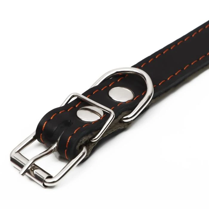 Ошейник комбинированный кожа/брезент 53 х 2.5 см ОШ 35-45 | Дом и сад